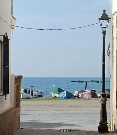Peces Malaga